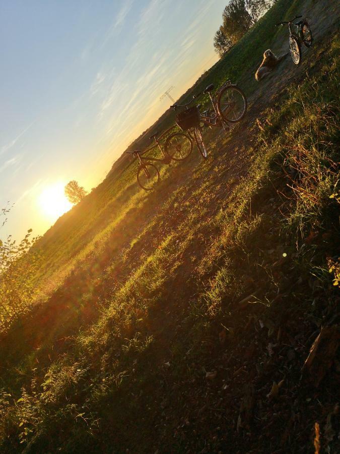 Gaestehaeuschen „Kleine Auszeit“ Greifswald Dış mekan fotoğraf
